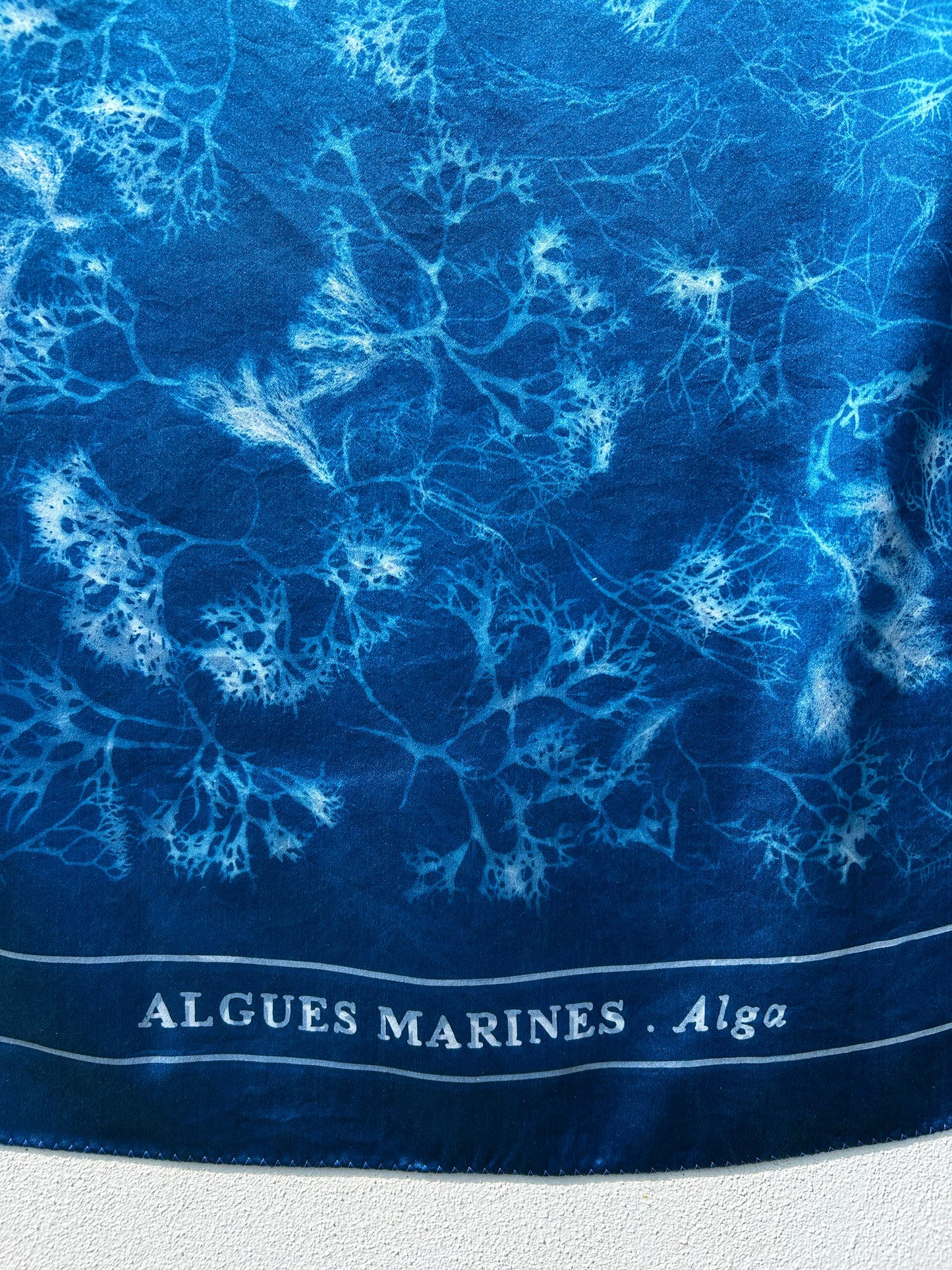 ALGUES MARINES