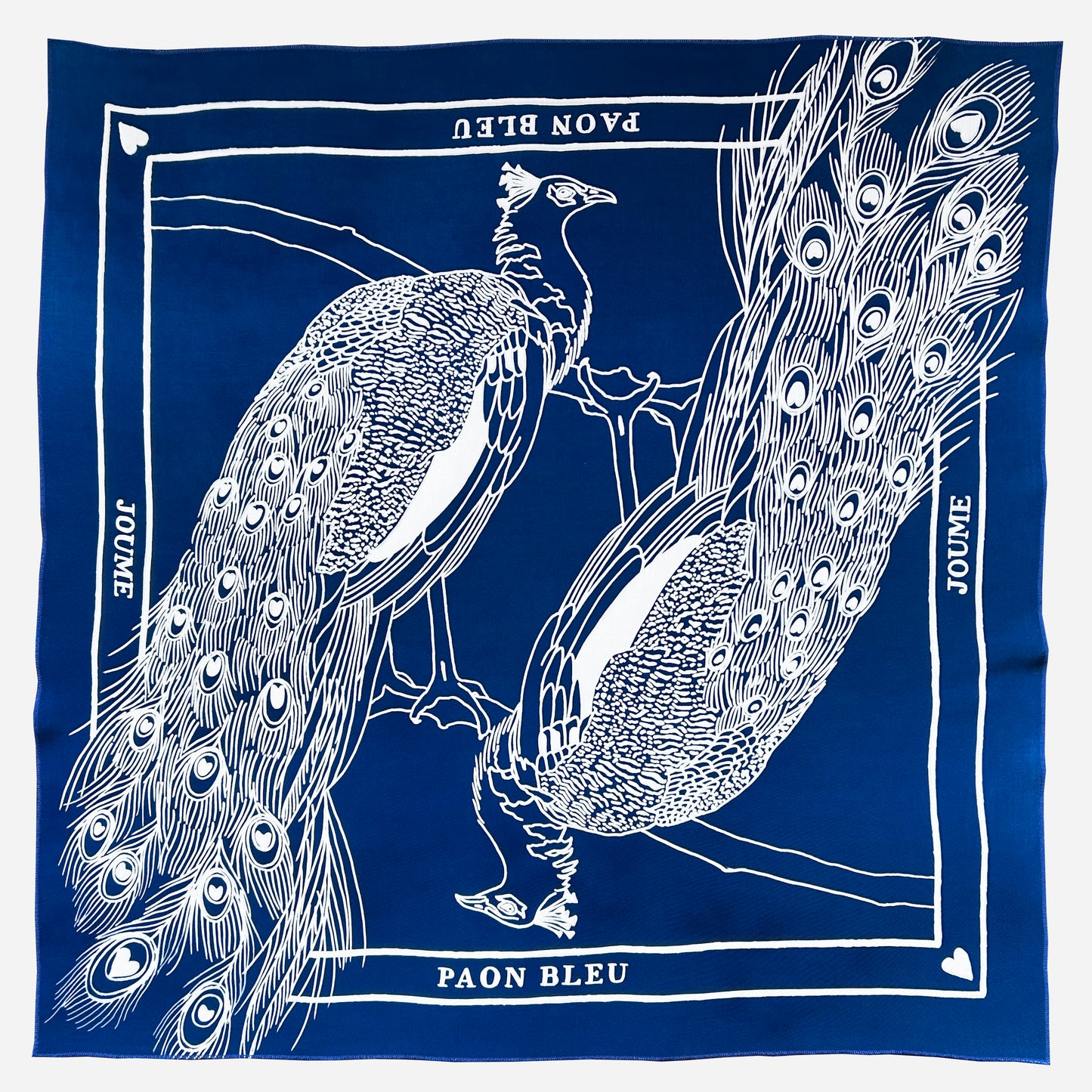 PAON BLEU