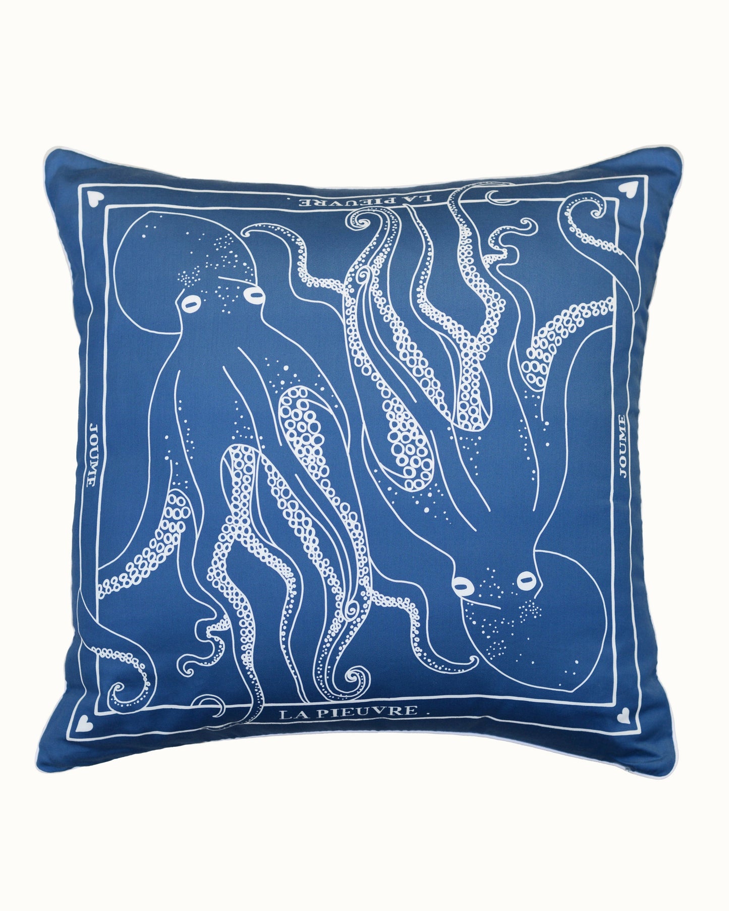 Cushion cover "LA PIEUVRE"