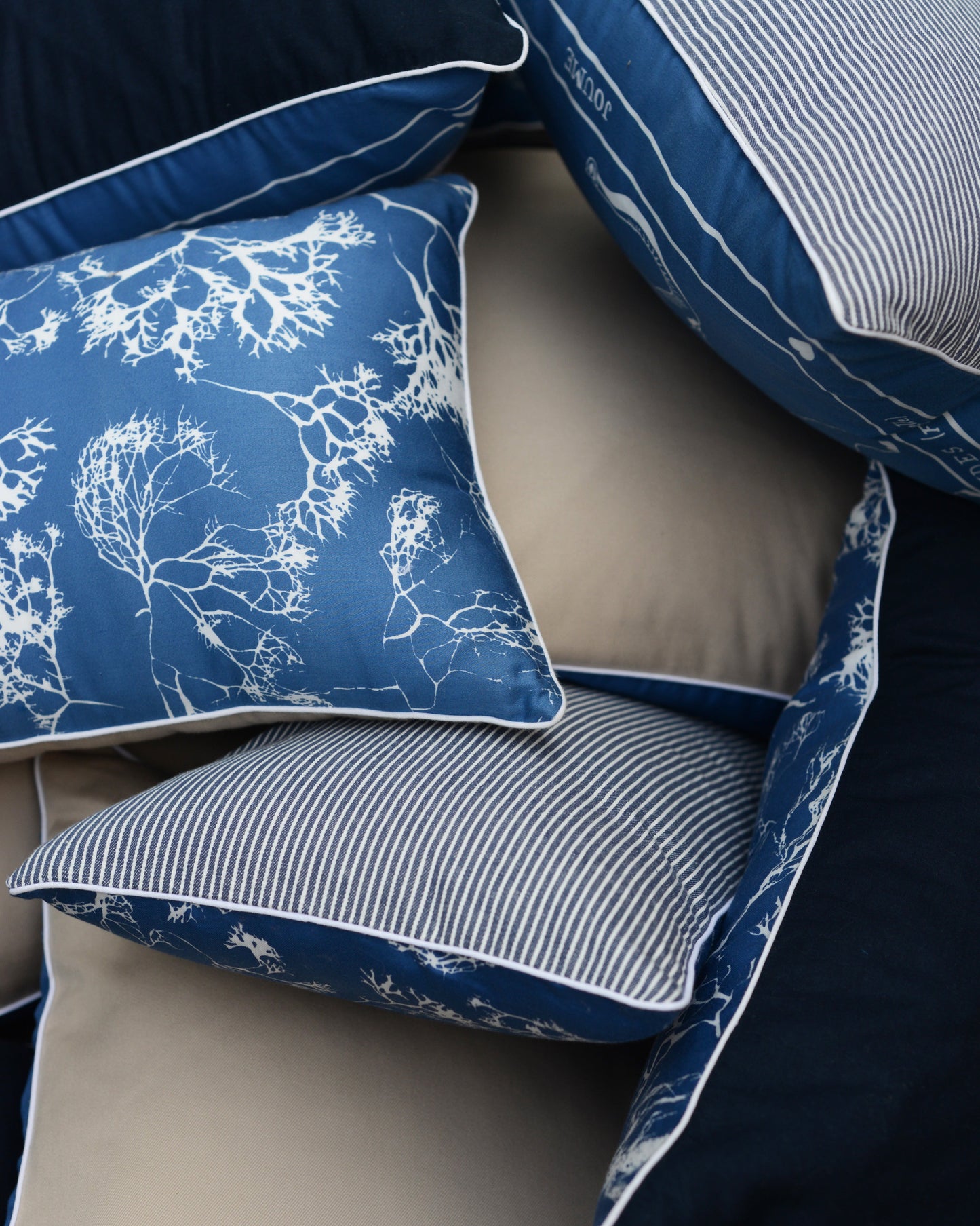 Cushion cover "LA PANTHÈRE mâle"