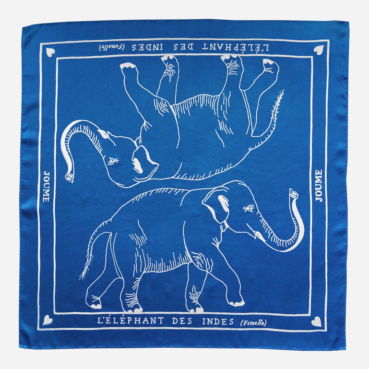 L'ÉLÉPHANT DES INDES