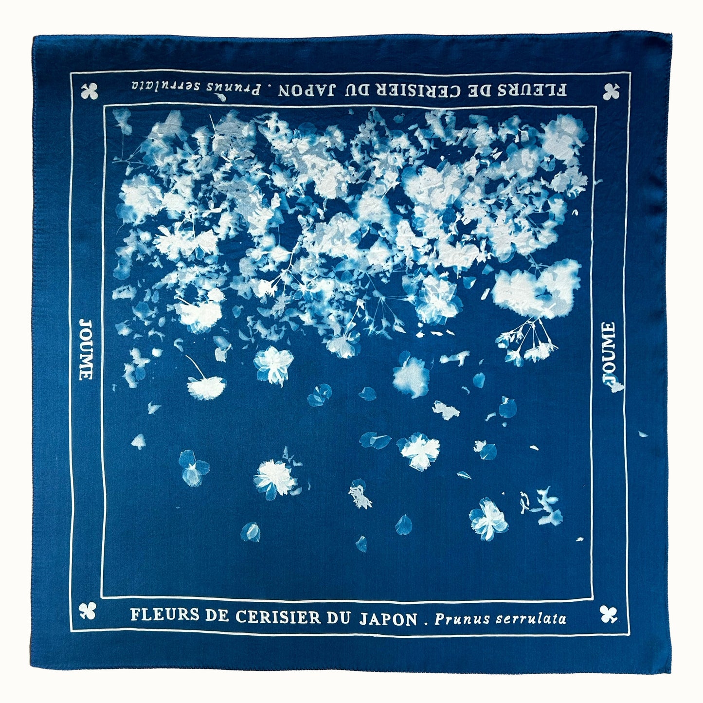 FLEURS DE CERISIER