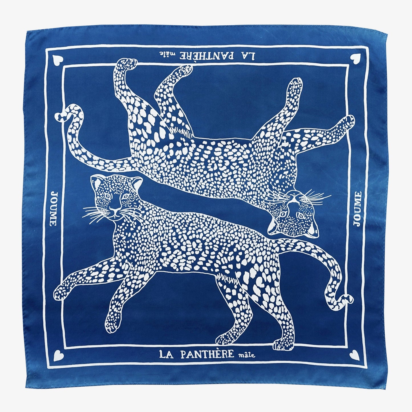 LA PANTHÈRE mâle