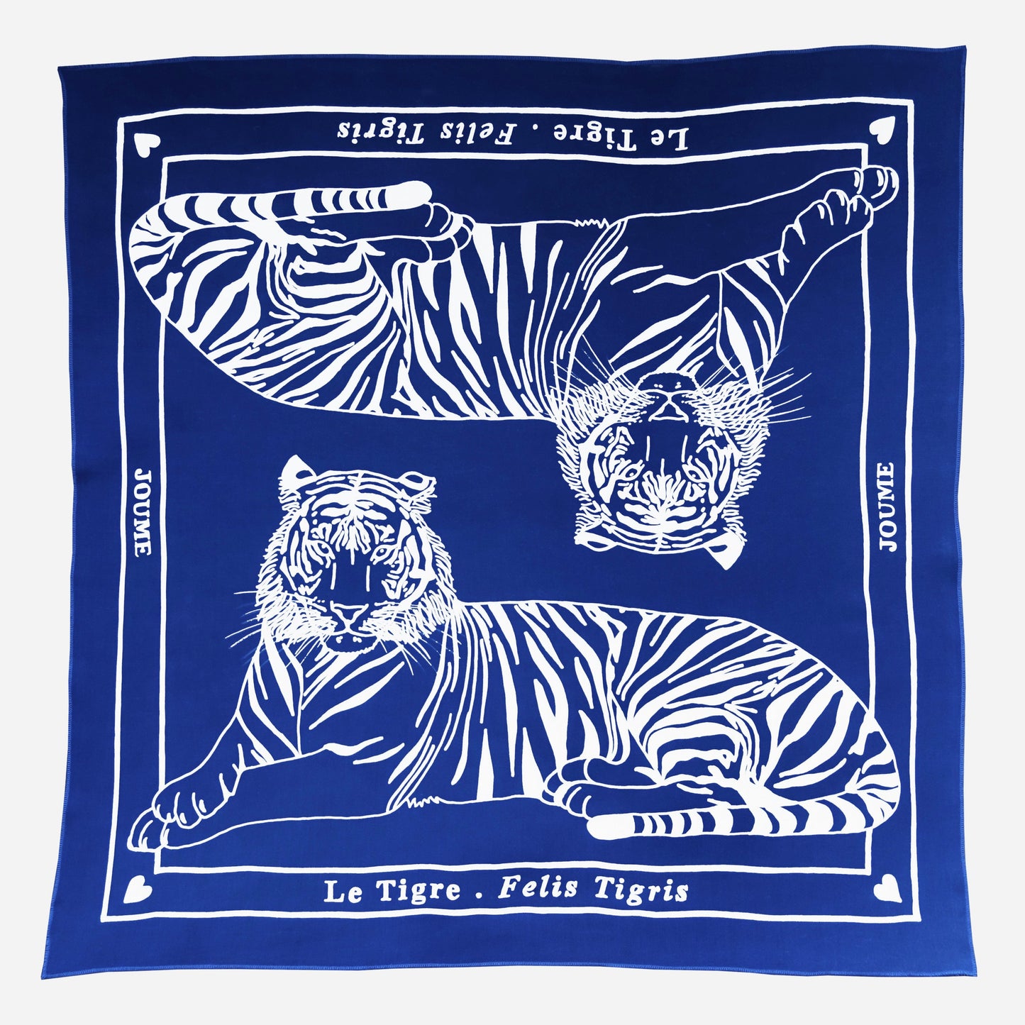 LE TIGRE