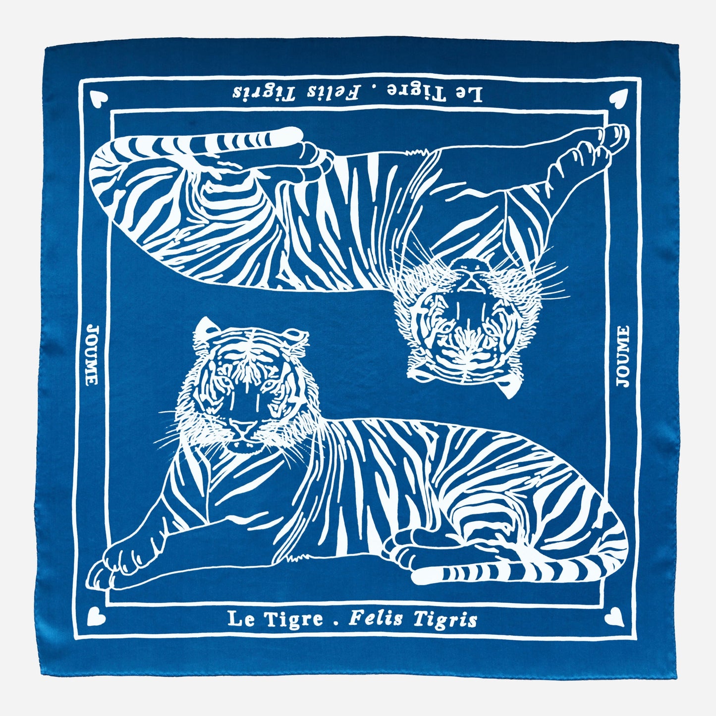 LE TIGRE