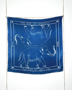 L'ÉLÉPHANT DES INDES