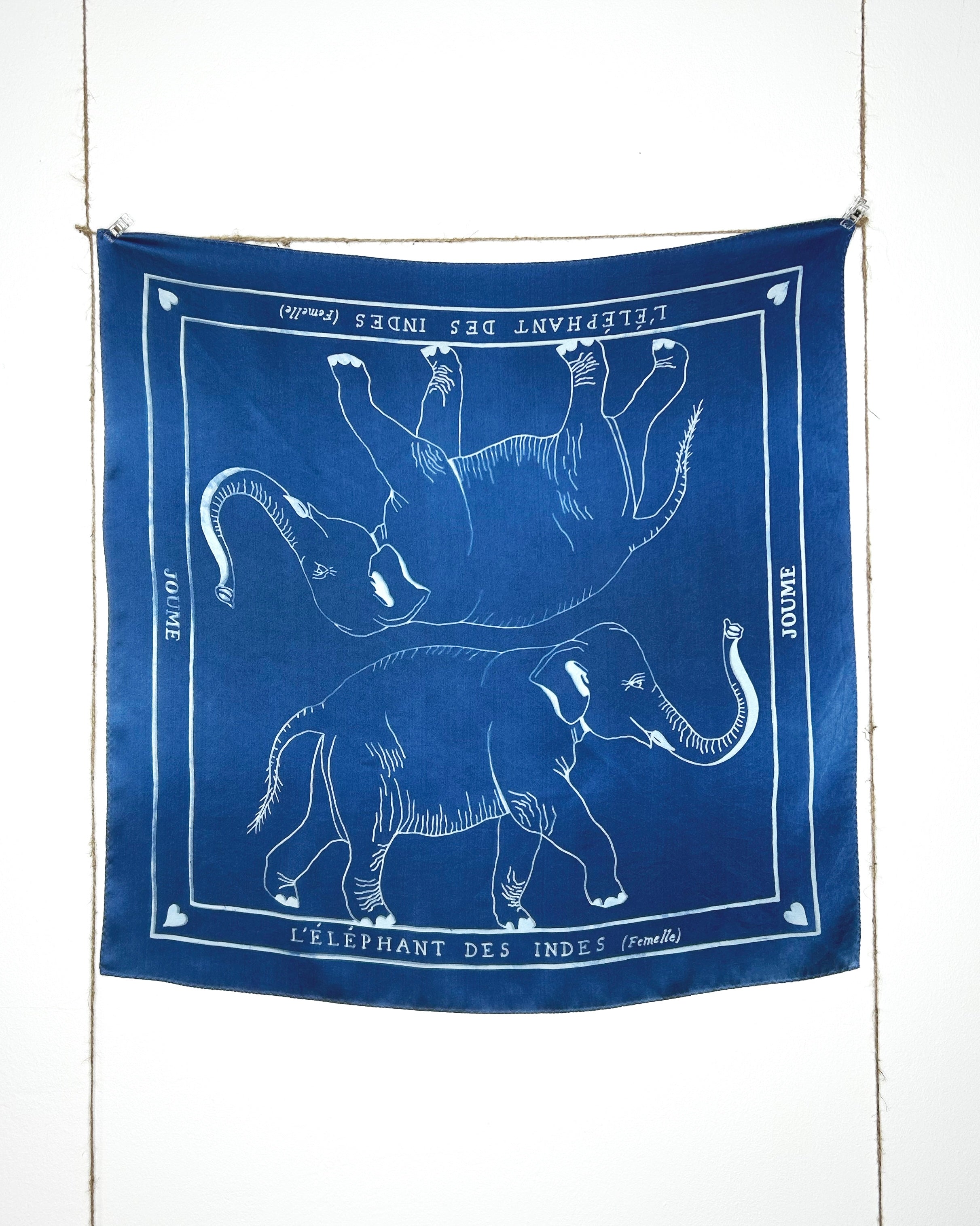 L'ÉLÉPHANT DES INDES