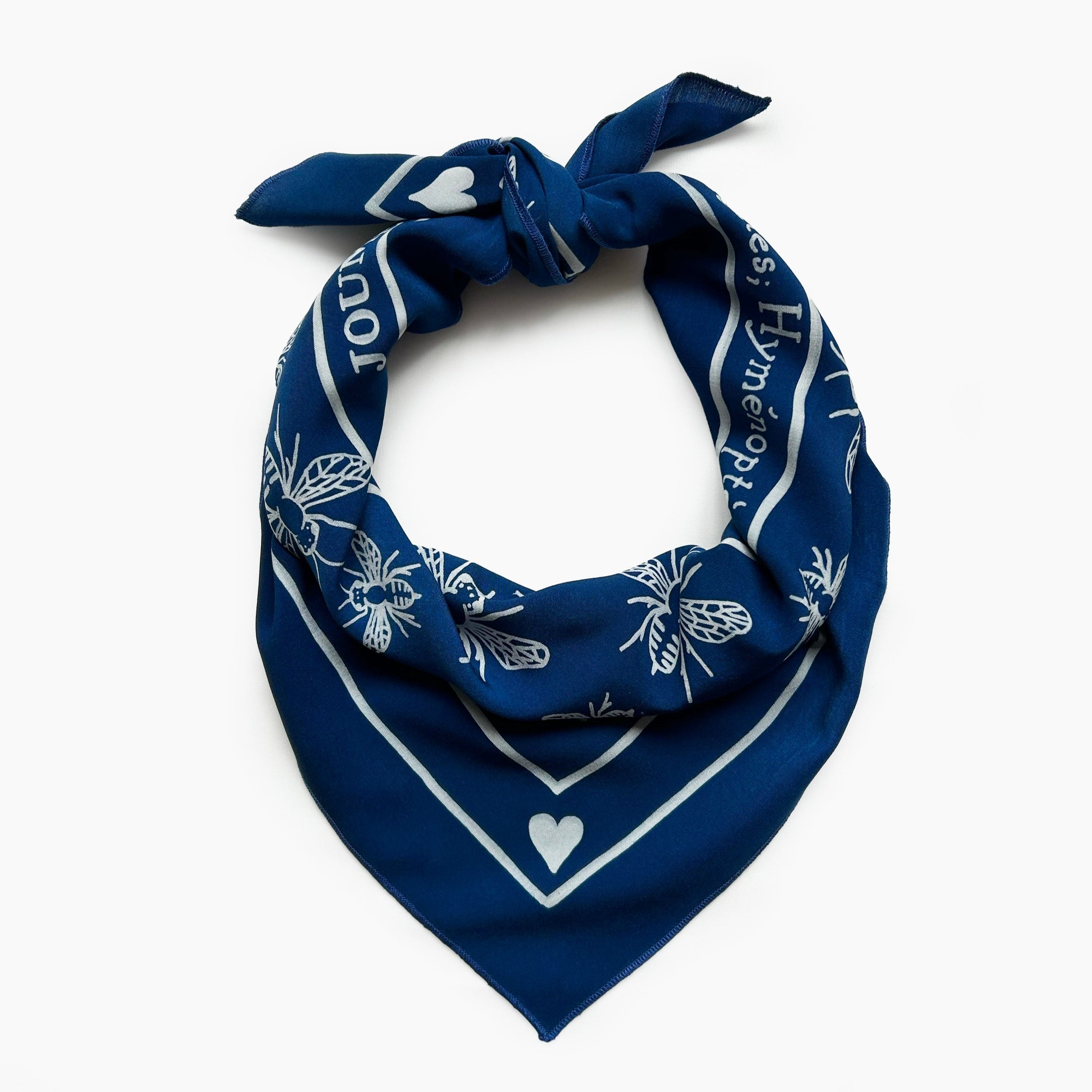 INSECTES; HYMÉNOPTÈRES