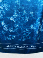ALGUES MARINES