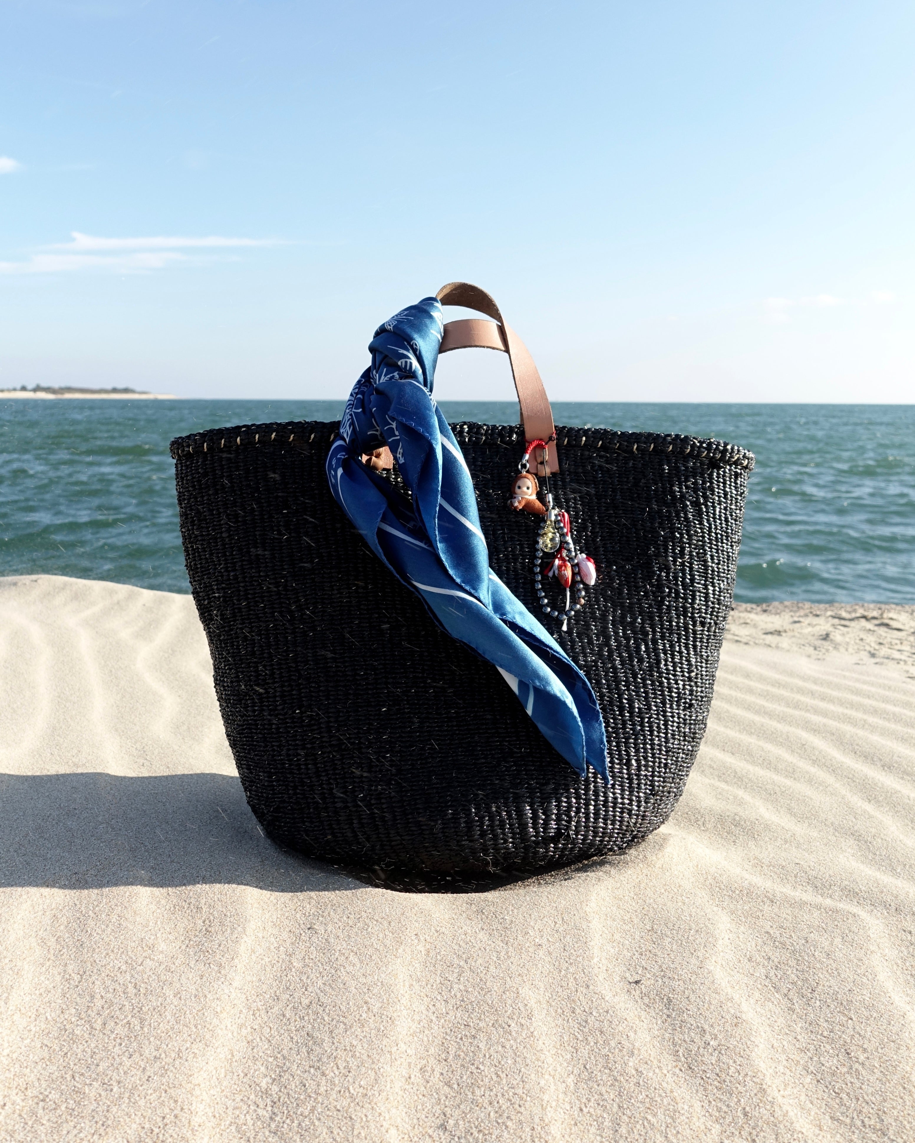 INSECTES; HYMÉNOPTÈRES