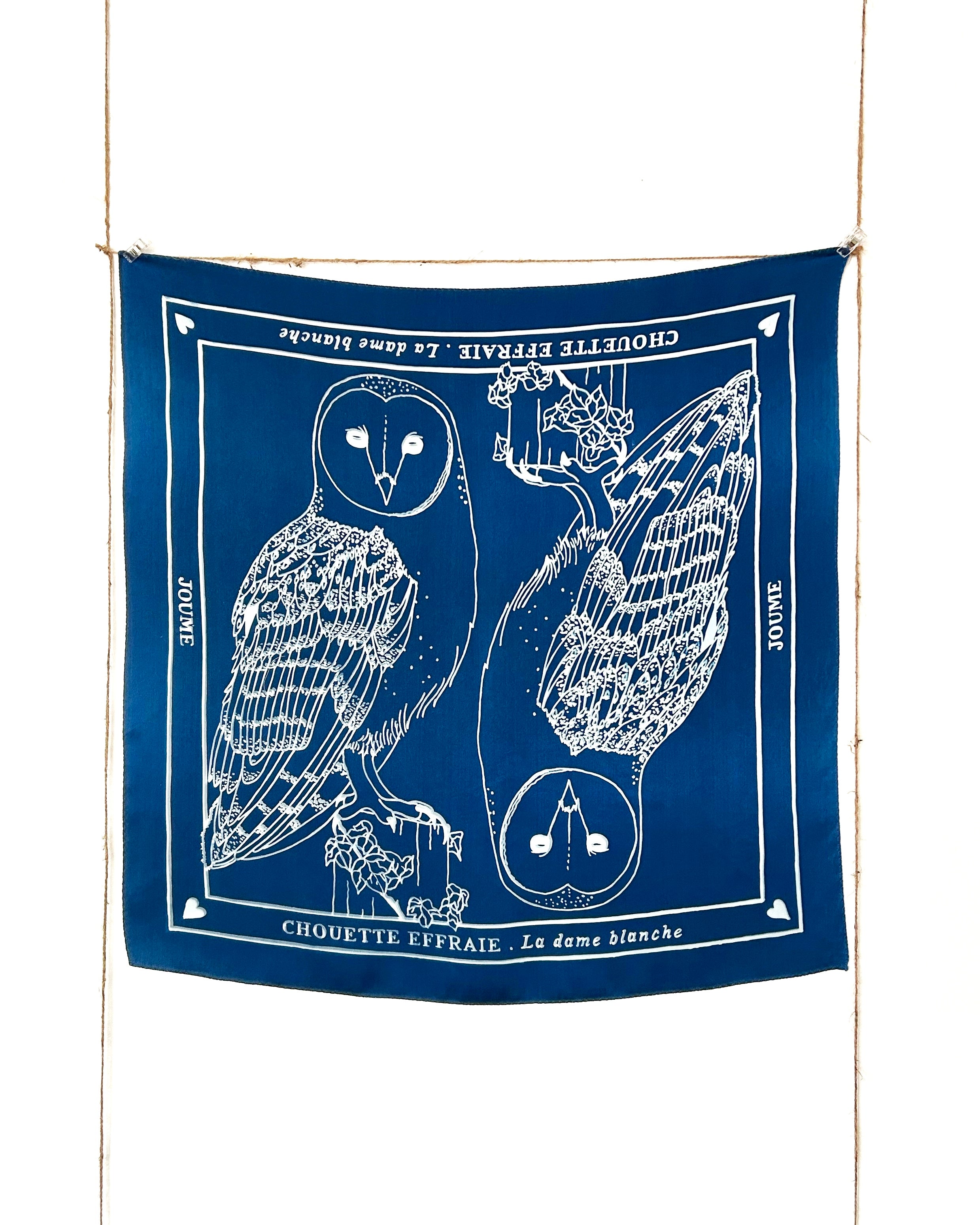 CHOUETTE EFFRAIE