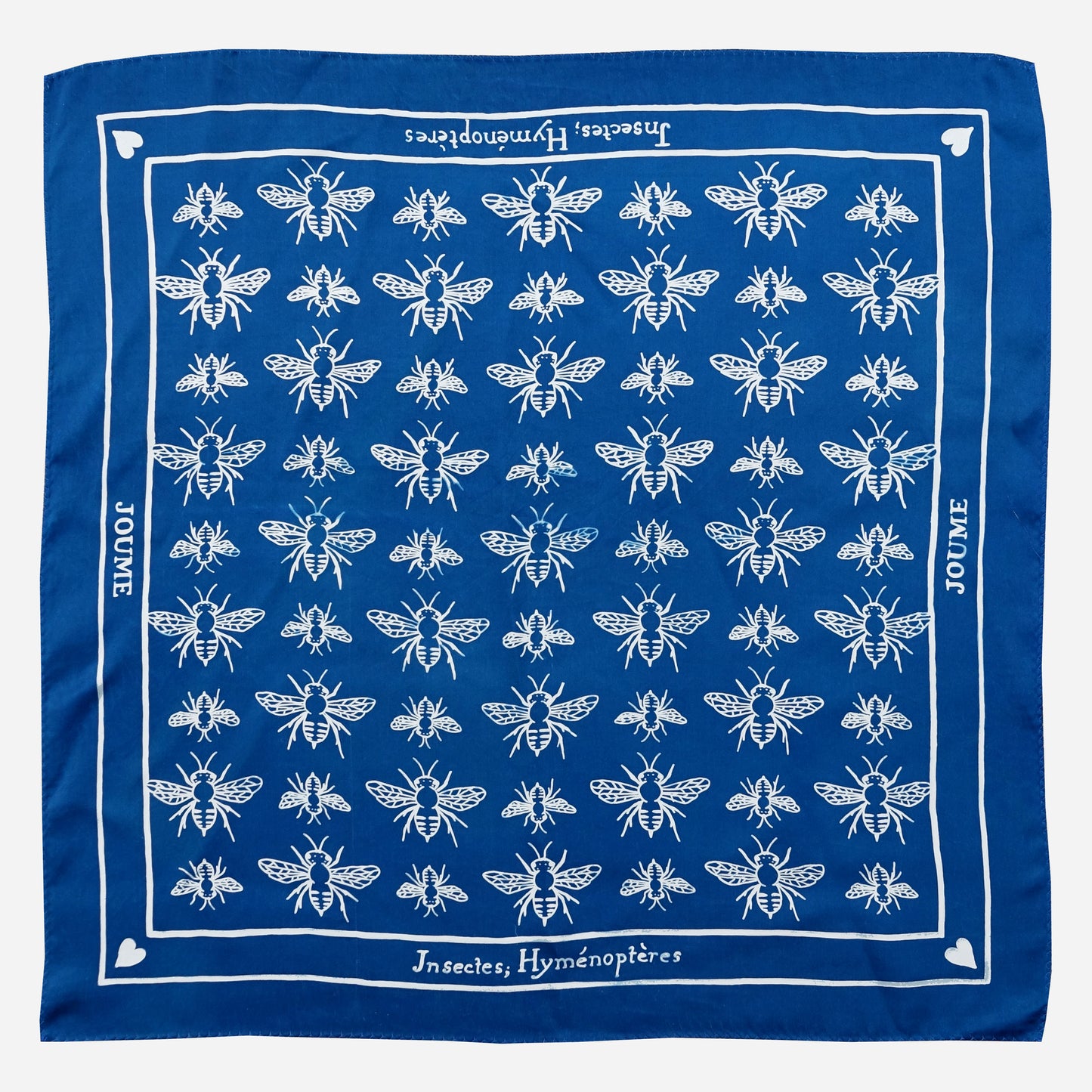 INSECTES; HYMÉNOPTÈRES
