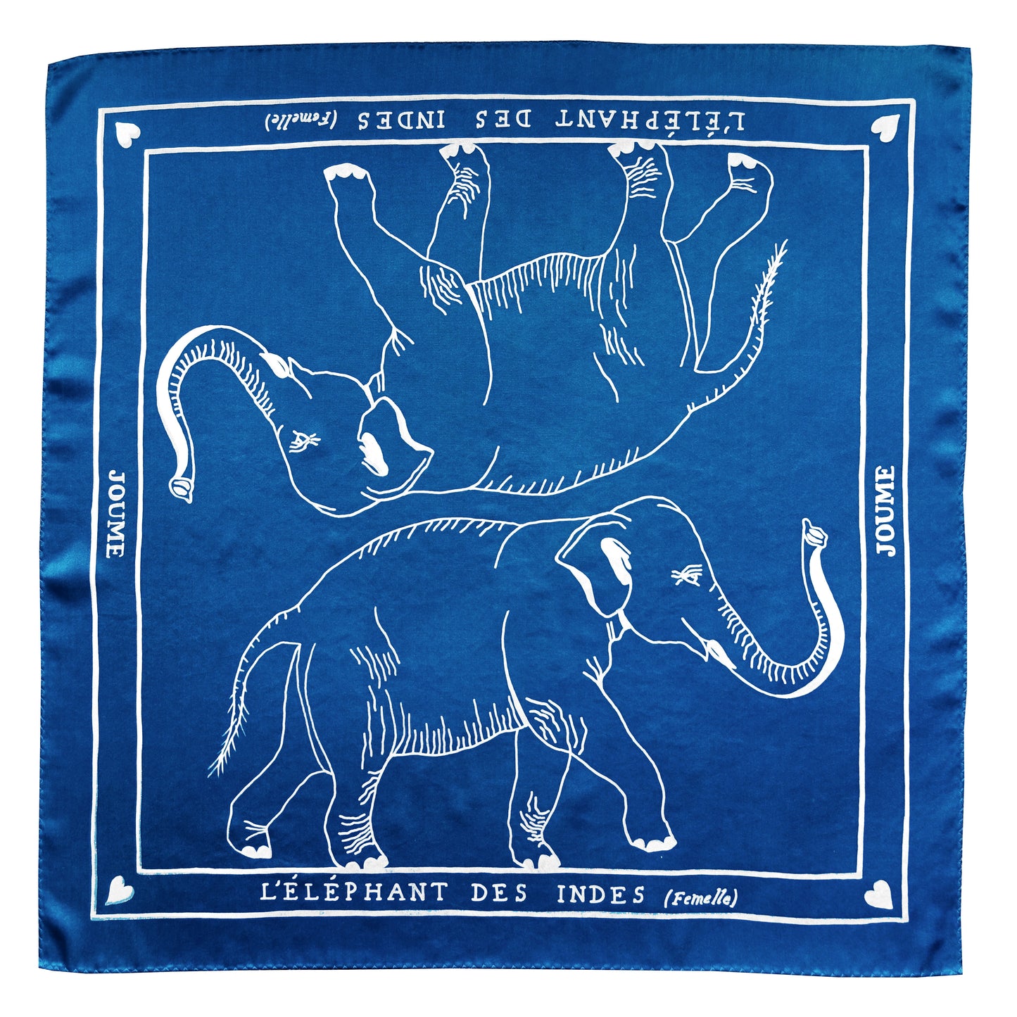 L'ÉLÉPHANT DES INDES