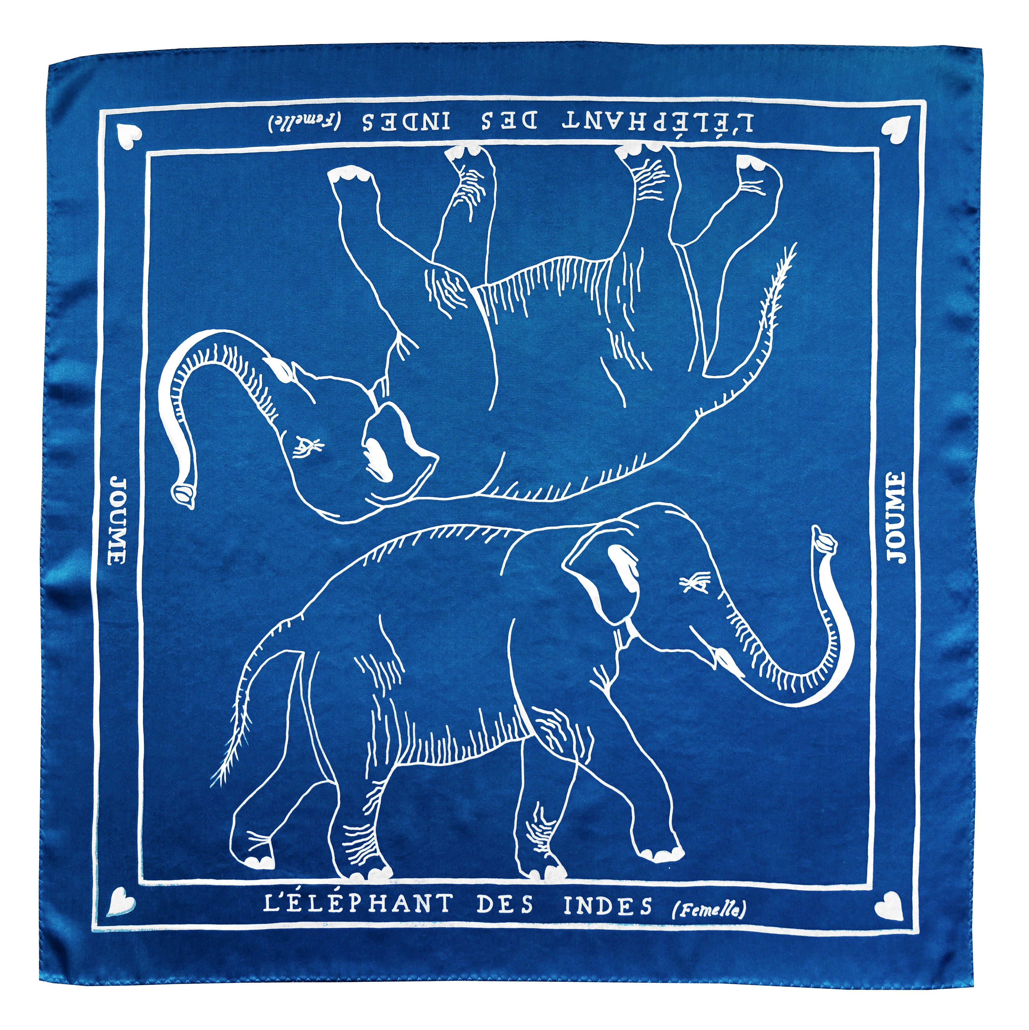 L'ÉLÉPHANT DES INDES