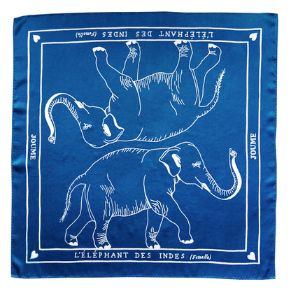 L'ÉLÉPHANT DES INDES