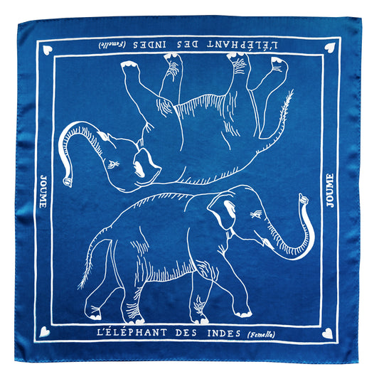 L'ÉLÉPHANT DES INDES