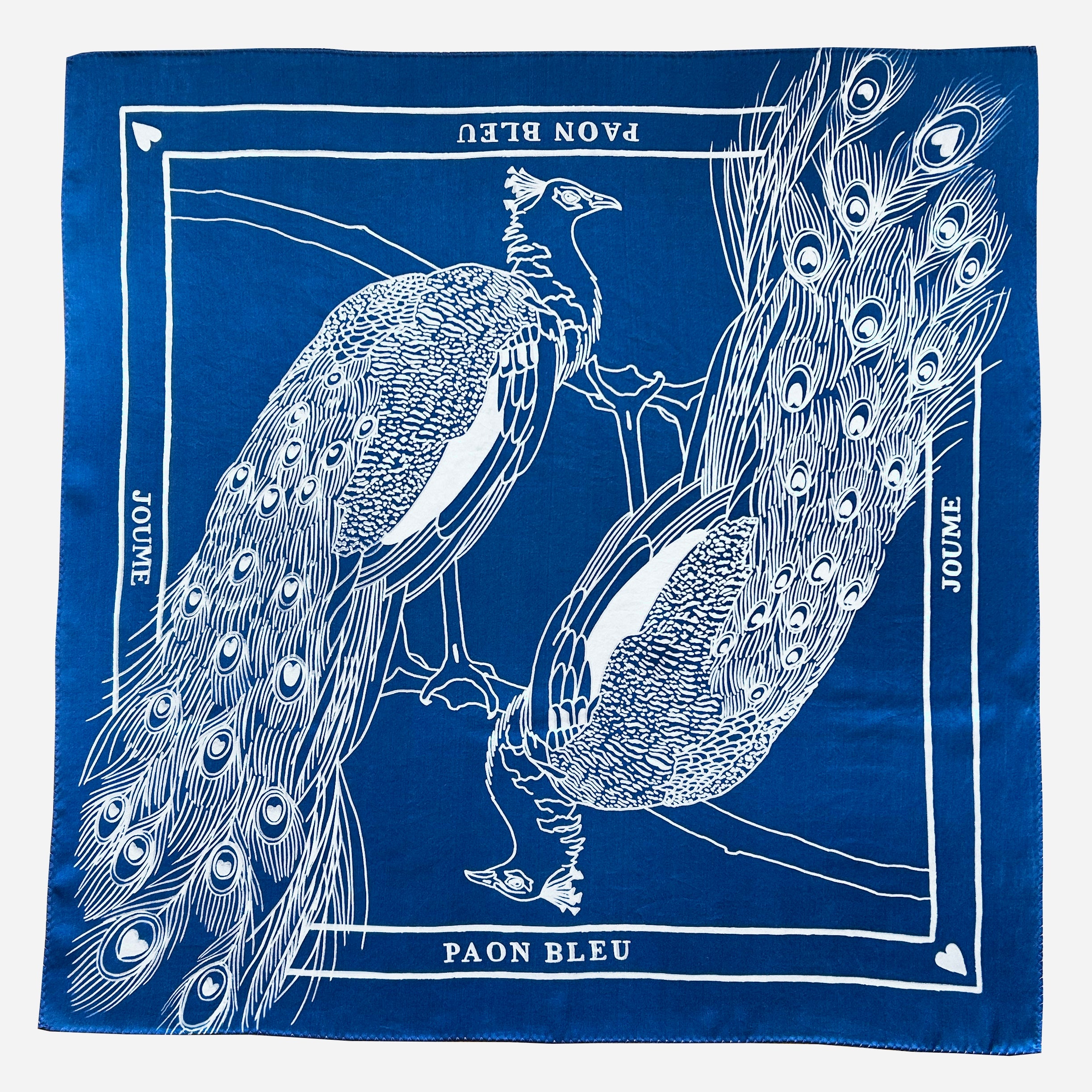 PAON BLEU