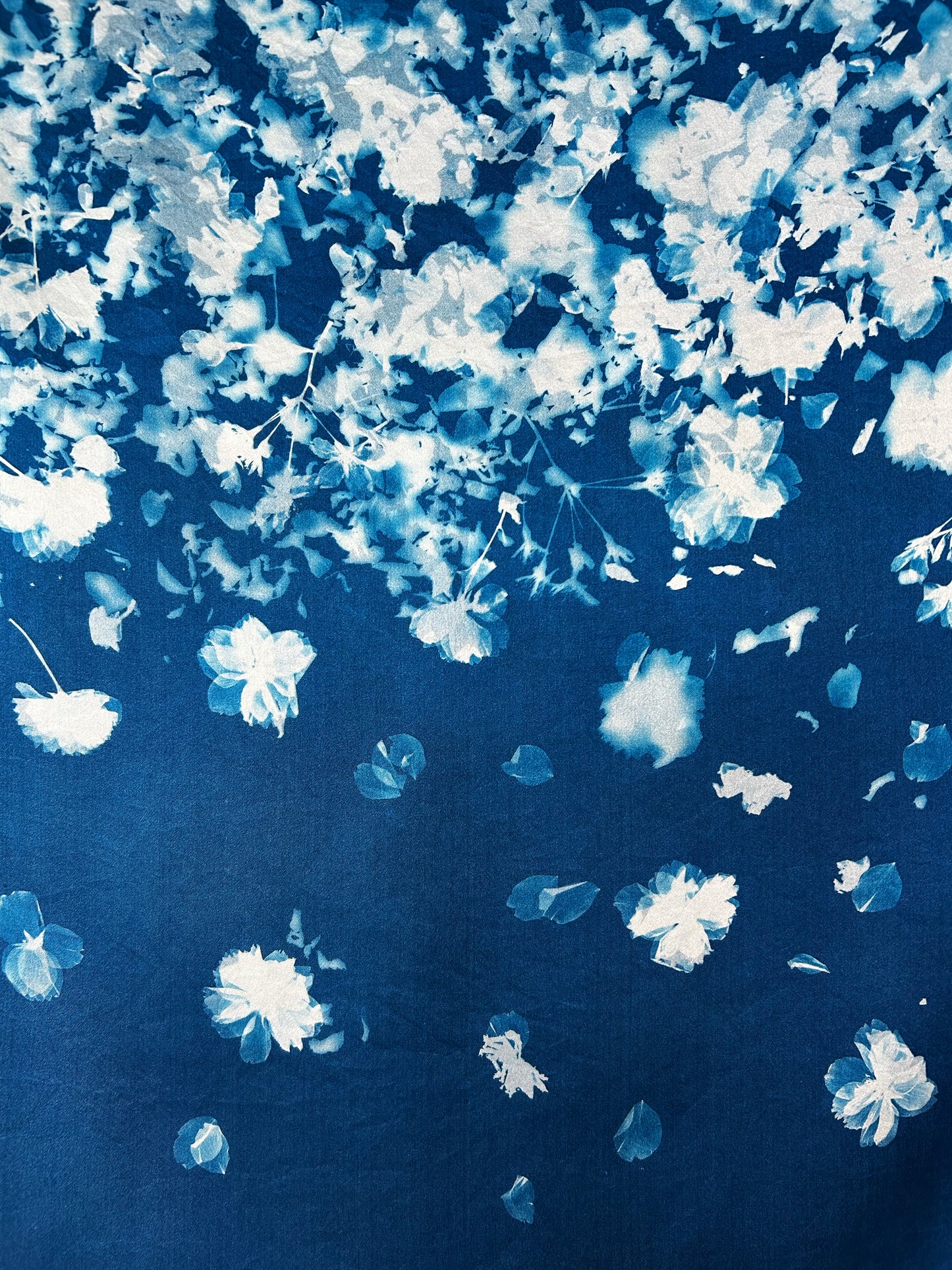 FLEURS DE CERISIER