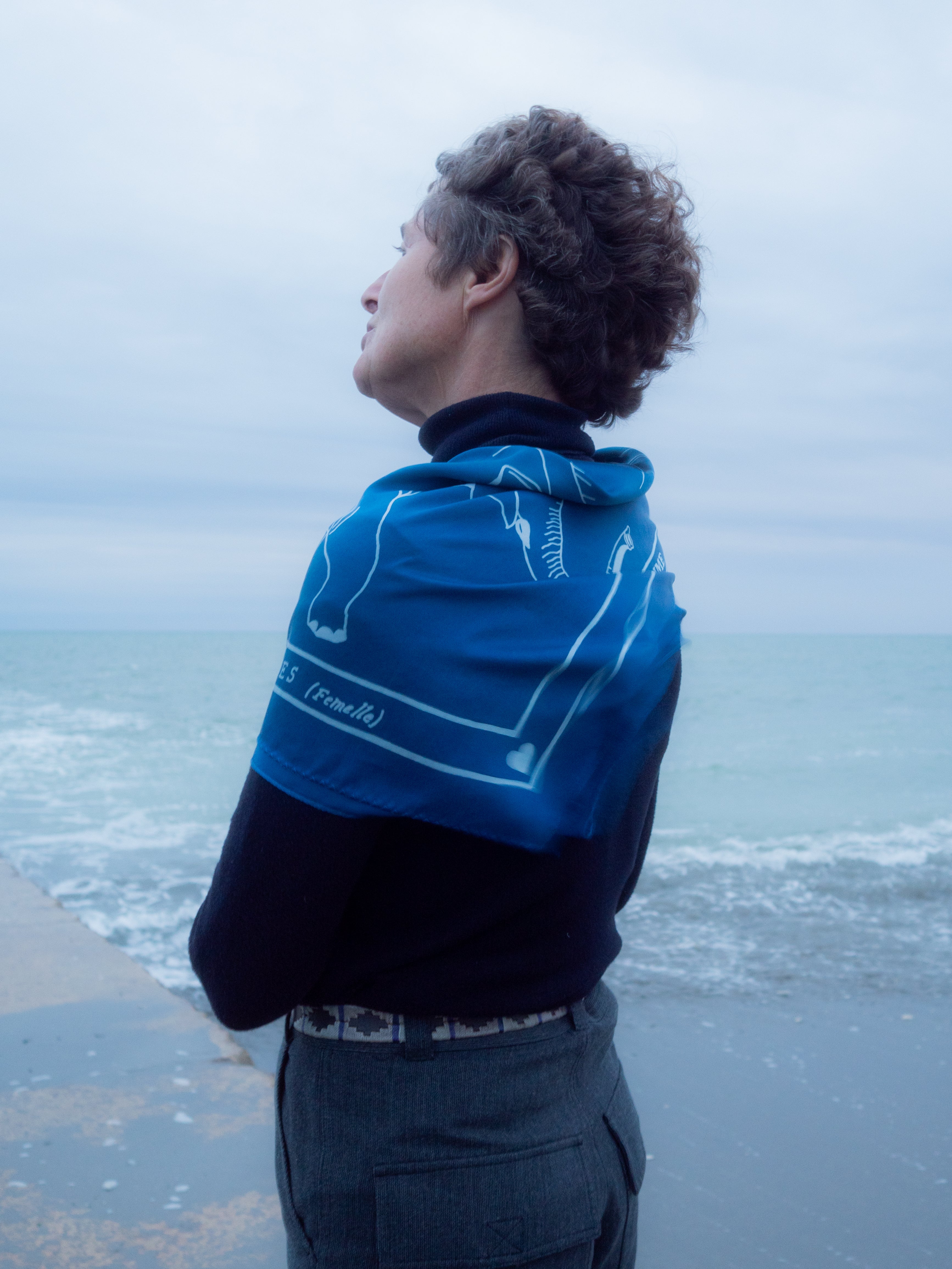 L'ÉLÉPHANT DES INDES