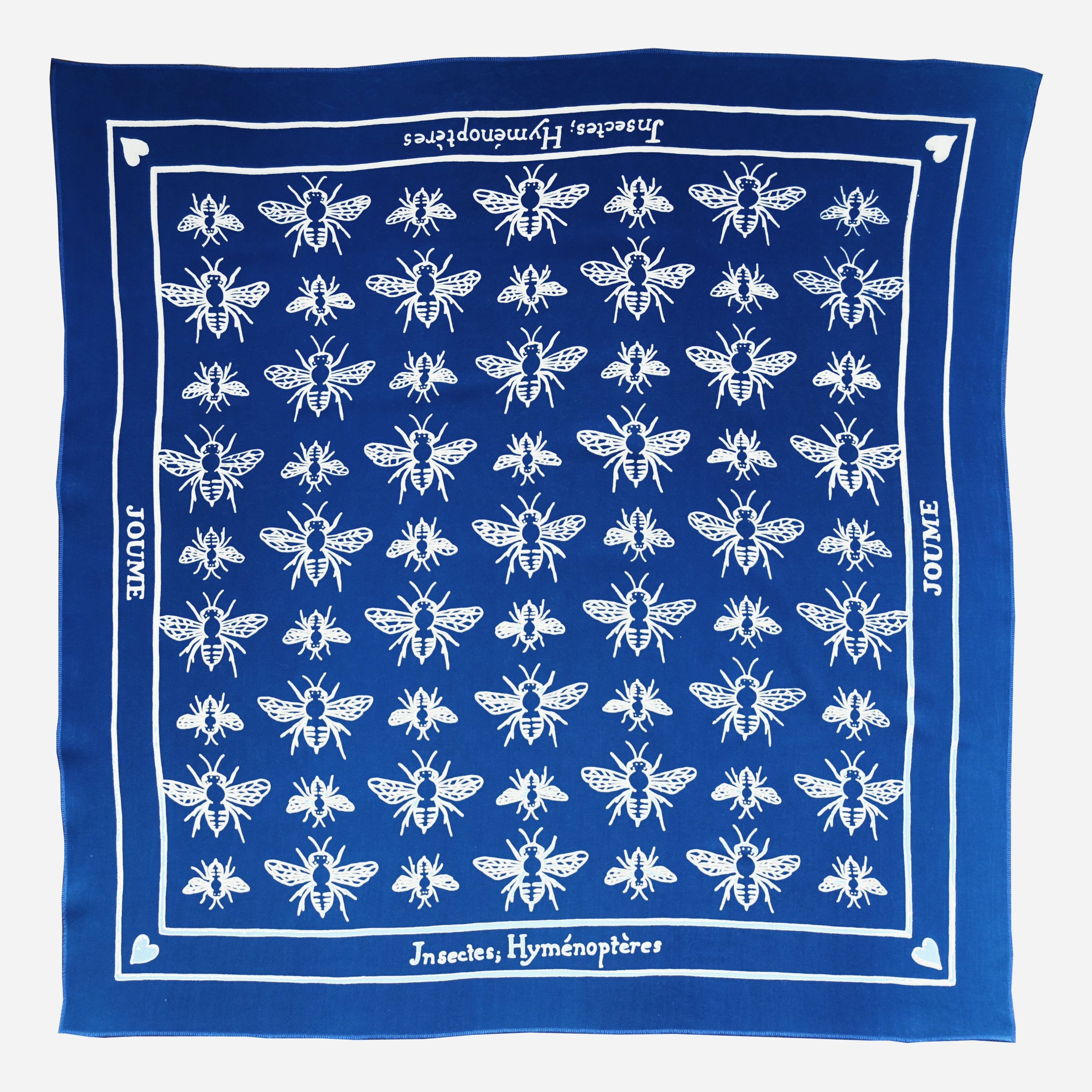 INSECTES; HYMÉNOPTÈRES