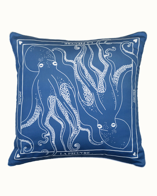 Cushion cover "LA PIEUVRE"