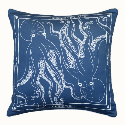 Cushion cover "LA PIEUVRE"