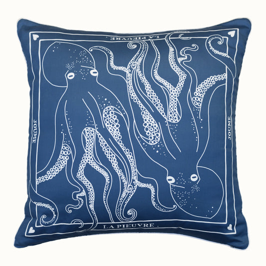 Cushion cover "LA PIEUVRE"