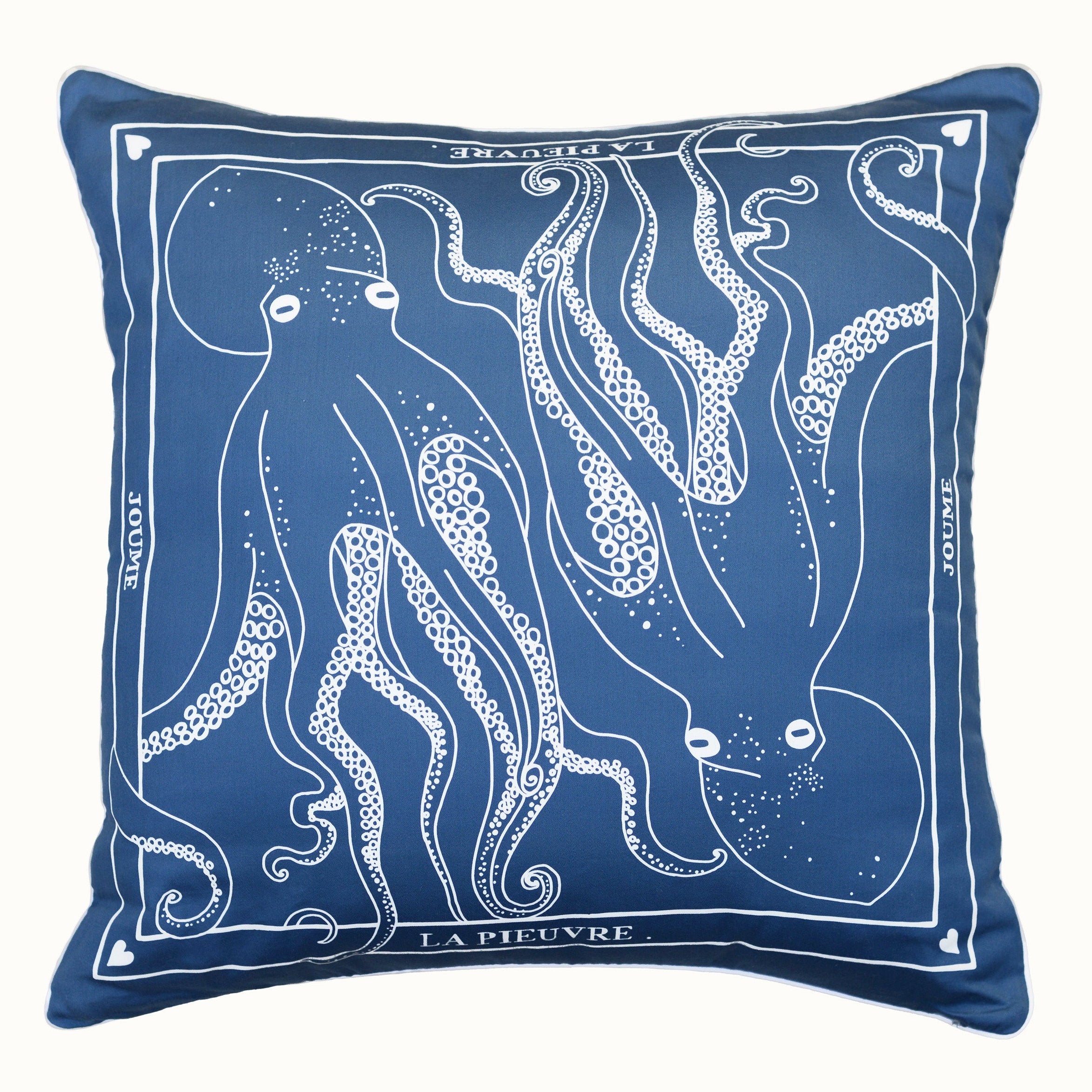 Housse de coussin "LA PIEUVRE"