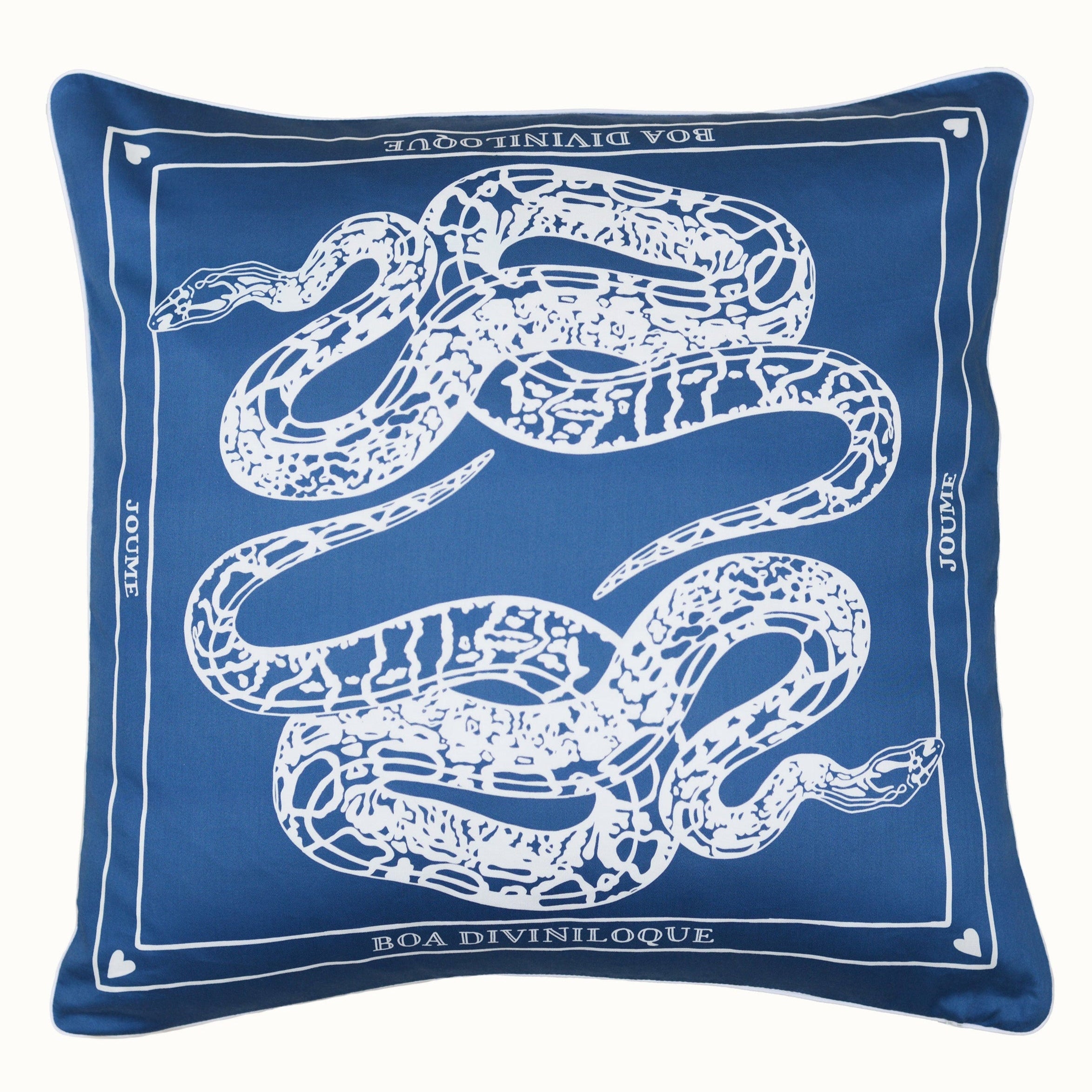 Housse de coussin "BOA DIVINILOQUE"