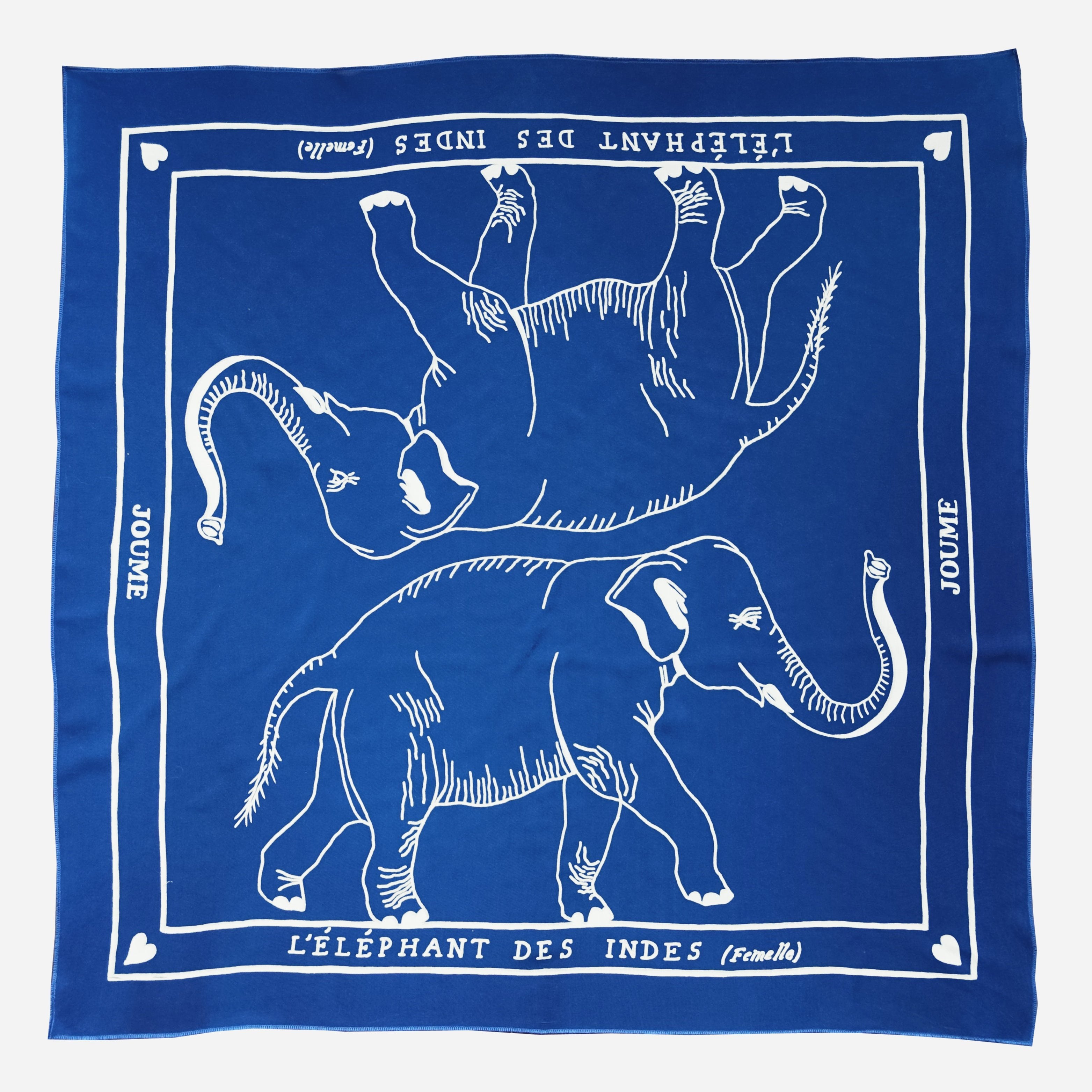 L'ÉLÉPHANT DES INDES