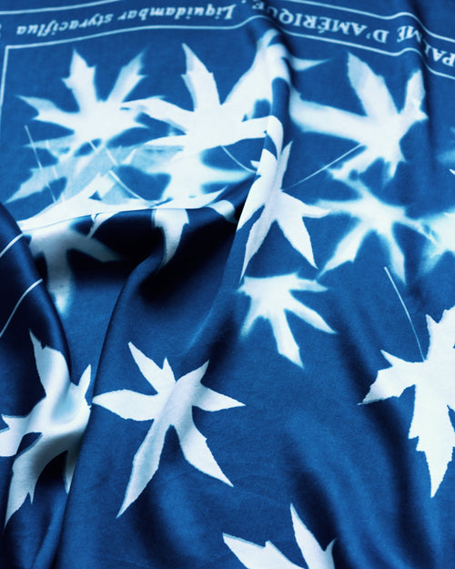 FEUILLES DE COPALME