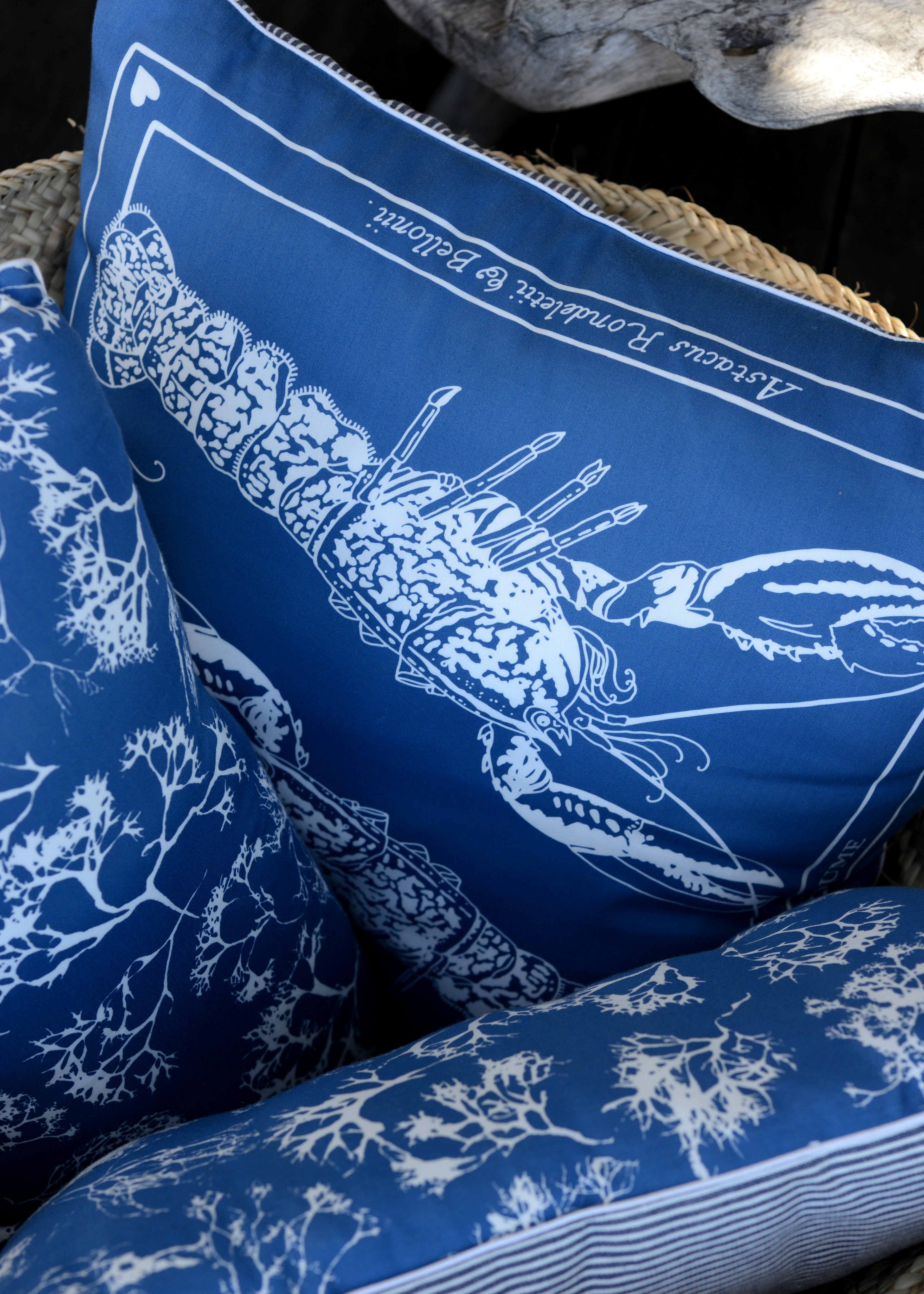 Housse de coussin ALGUES MARINES petit